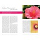exemple de page hibiscus